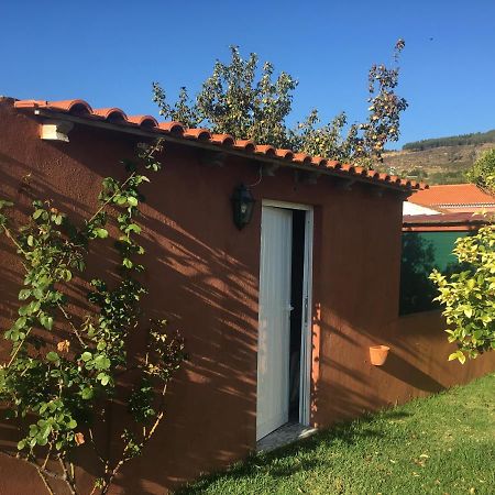 Villa - Torres Vedras, Lisbon Country Side Almeirinhos de Baixo Eksteriør billede