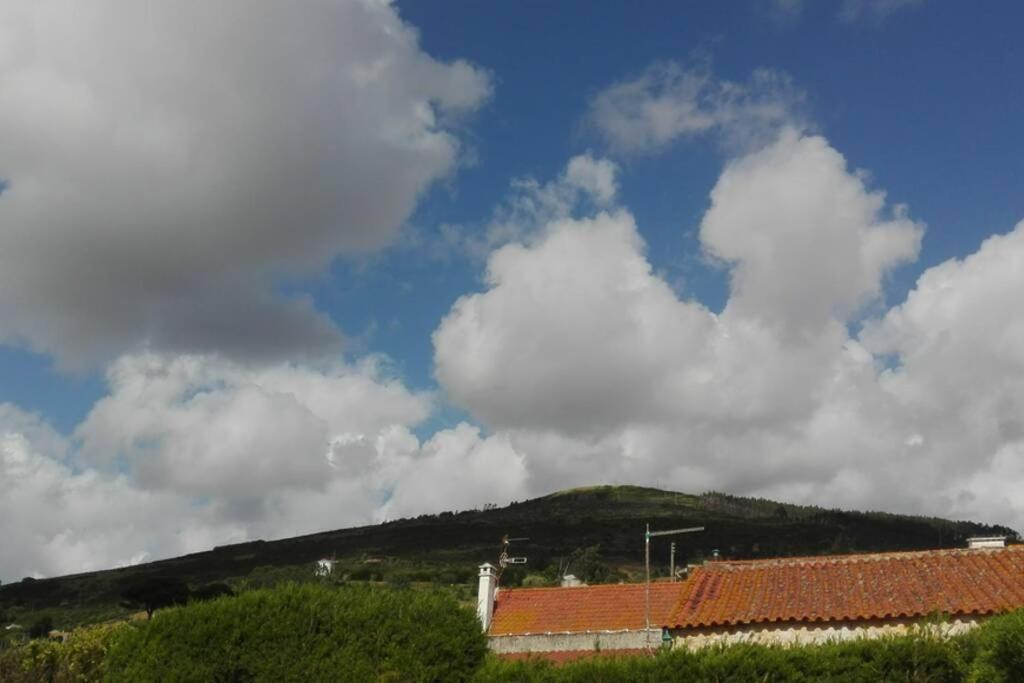 Villa - Torres Vedras, Lisbon Country Side Almeirinhos de Baixo Eksteriør billede
